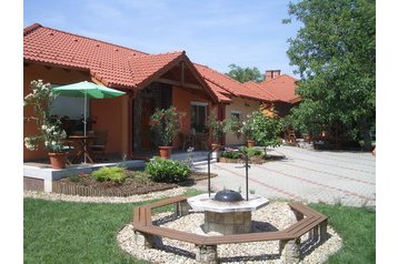 Węgry Privát Hajdúszoboszló, Zewnątrz